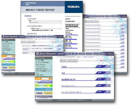 Cic Credit Report